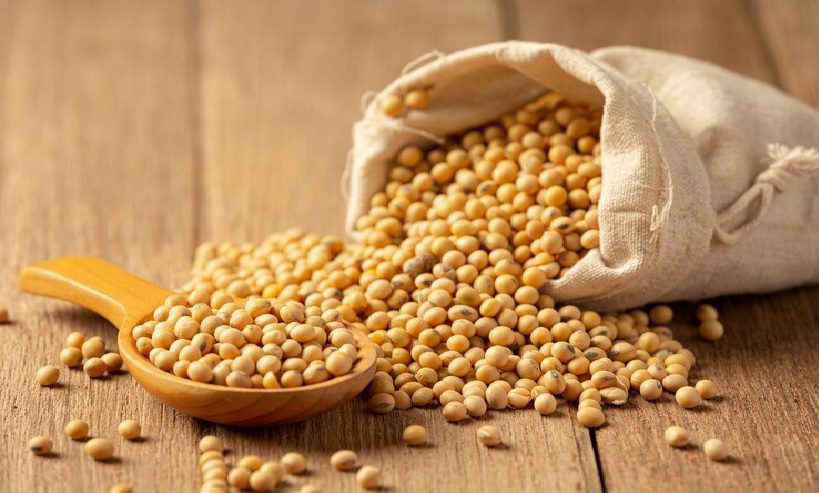 Soybean prices jump 41% Indian traders cancel exports