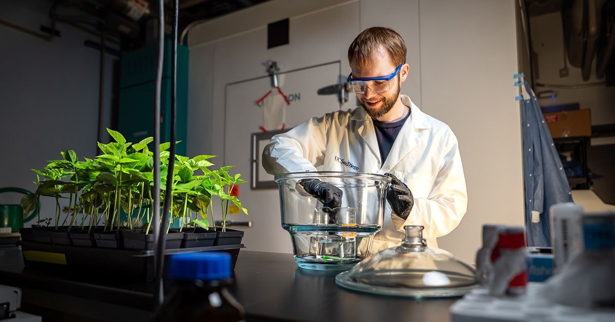 Scientists produce medicine using plants in space