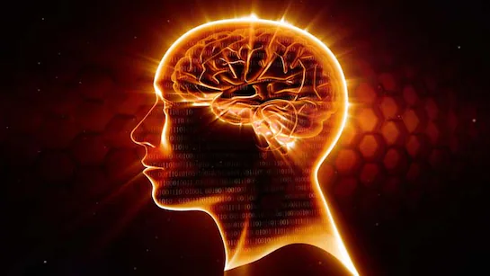 brain