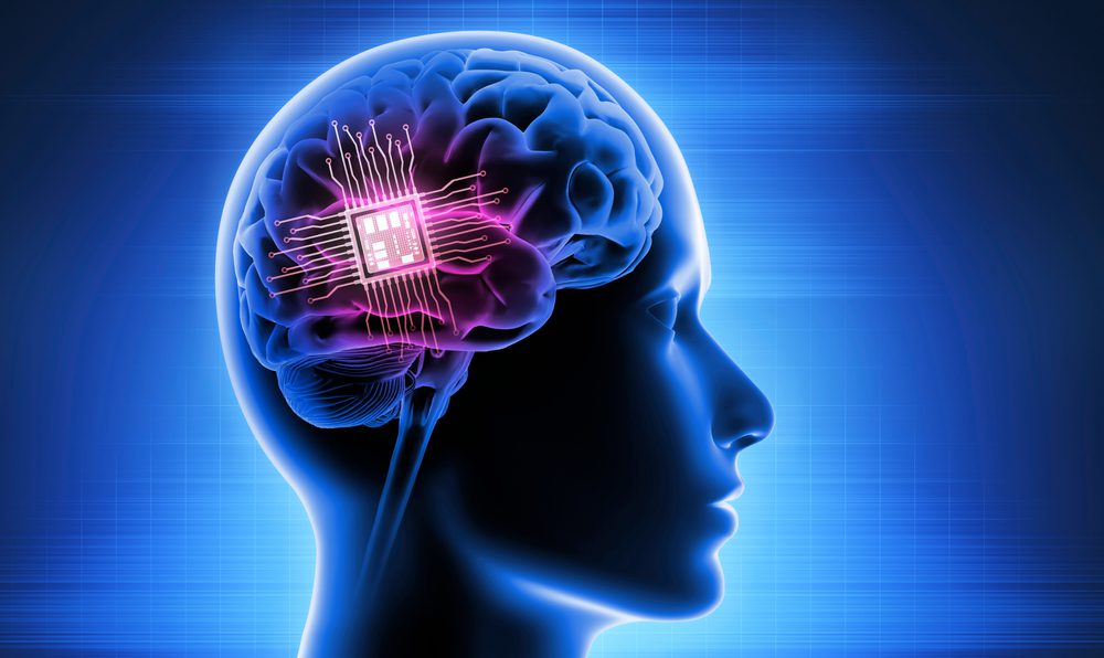 brain