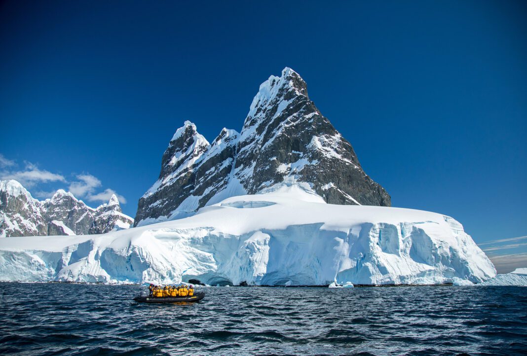 antarctica antarctica