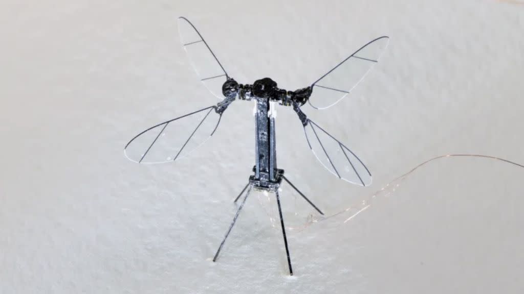 mosquito drone mosquito drone