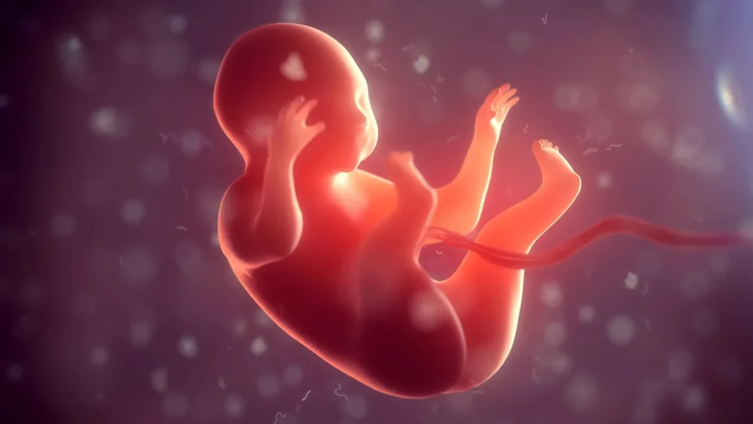 China Develops World’s First 3D Digital Embryo