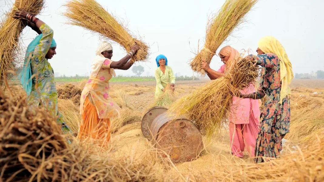 indian-agriculture