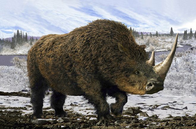 Real‑Life Jurassic Park! Scientists Extract Proteins from a 24M‑Year‑Old Rhino