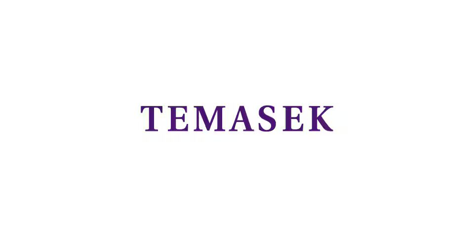 Temasek to Pump $3–4 Billion Annually into India in FY26