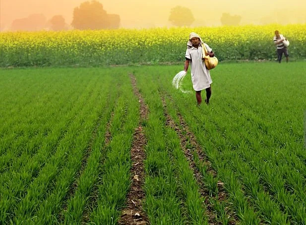Govt to Reduce GST on Fertilizers from 18% to 5%