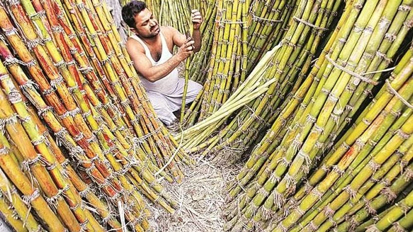 Government Lifts Cap on Ethanol Production, Powering Sugar Stocks Higher