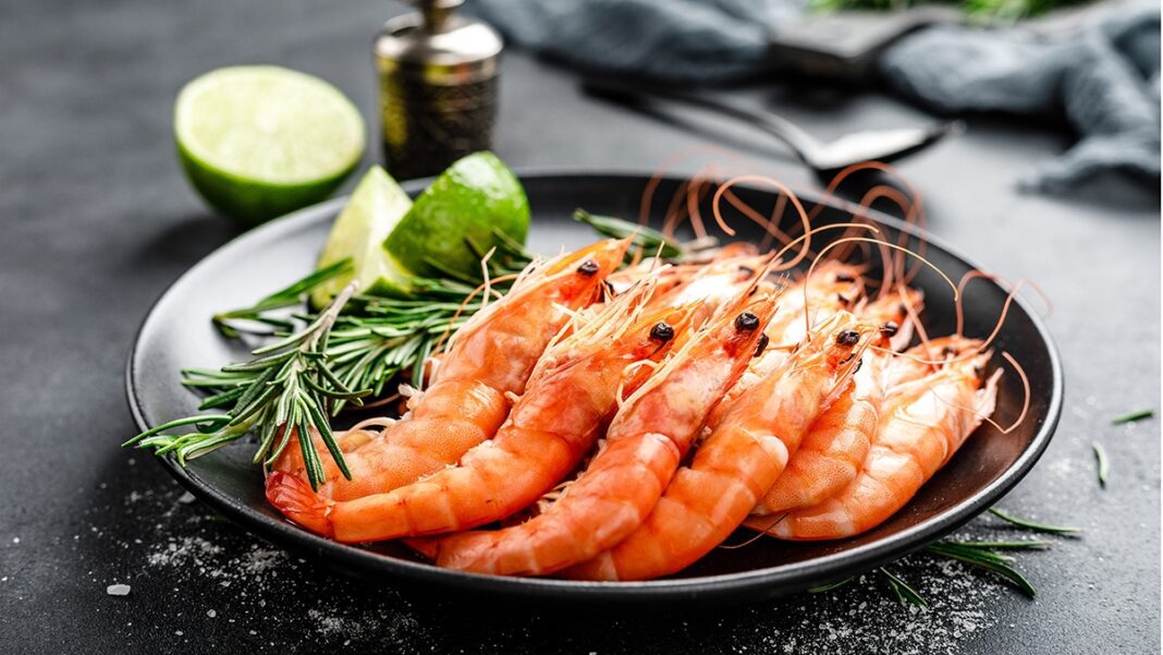 shrimp