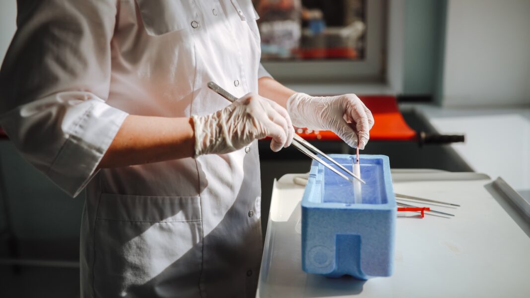 human eggs using skin cell