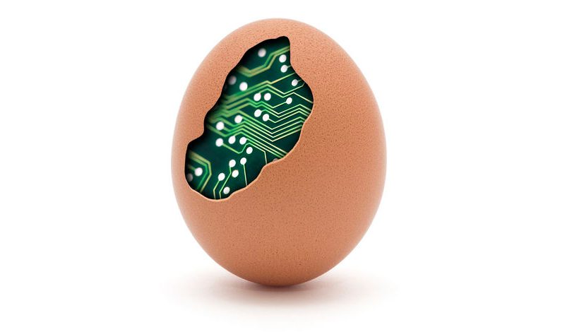 egg egg