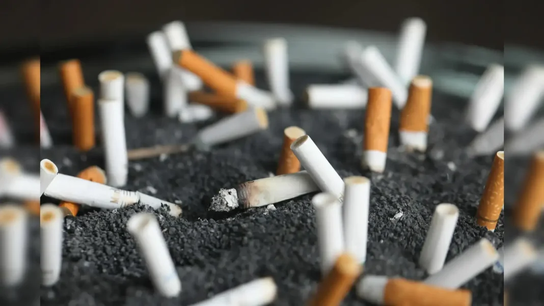 Govt to announce new tax on tobacco and pan masala in 2026 Union Budget