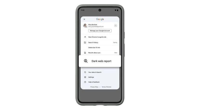 Google discontinue “Dark Web Report” tool