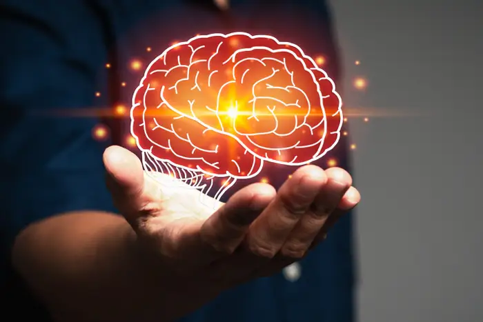 Your Brain Resets at Ages 9, 32, 66 and 83: Study Finds Life-Long Rewiring