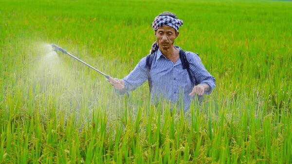 Iran war to disrupt India’s fertilizer supply