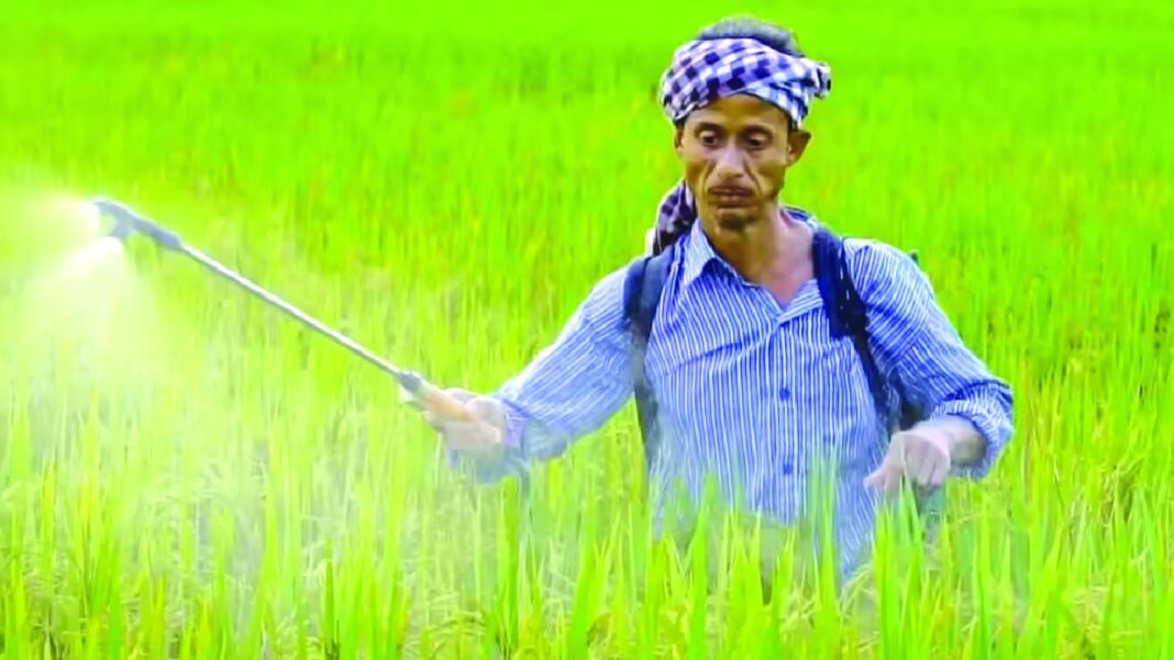 India’s fertiliser output hits 5-year low amid input shortages