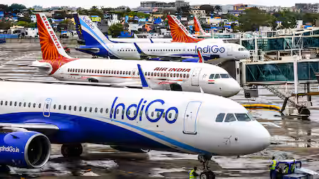 indigo