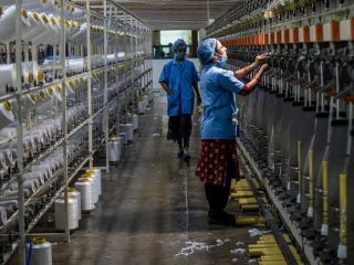 Tamil Nadu Peru trade: Why a factory tie-up matters