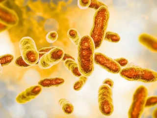 Scientists Discover Bacteria That Help Contain Uranium in Flooded German Mine