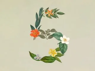 Anthropic release Claude Sonnet 5