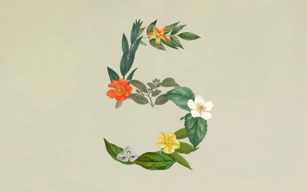Anthropic release Claude Sonnet 5
