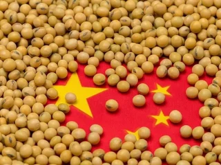 China soybean imports: Why Brazil keeps winning