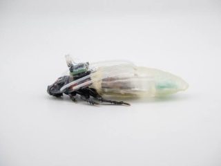 Scientist 3D-printed scuba suit for cockroaches