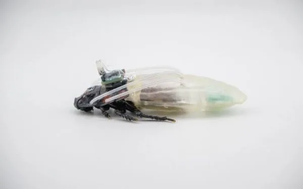 Scientist 3D-printed scuba suit for cockroaches